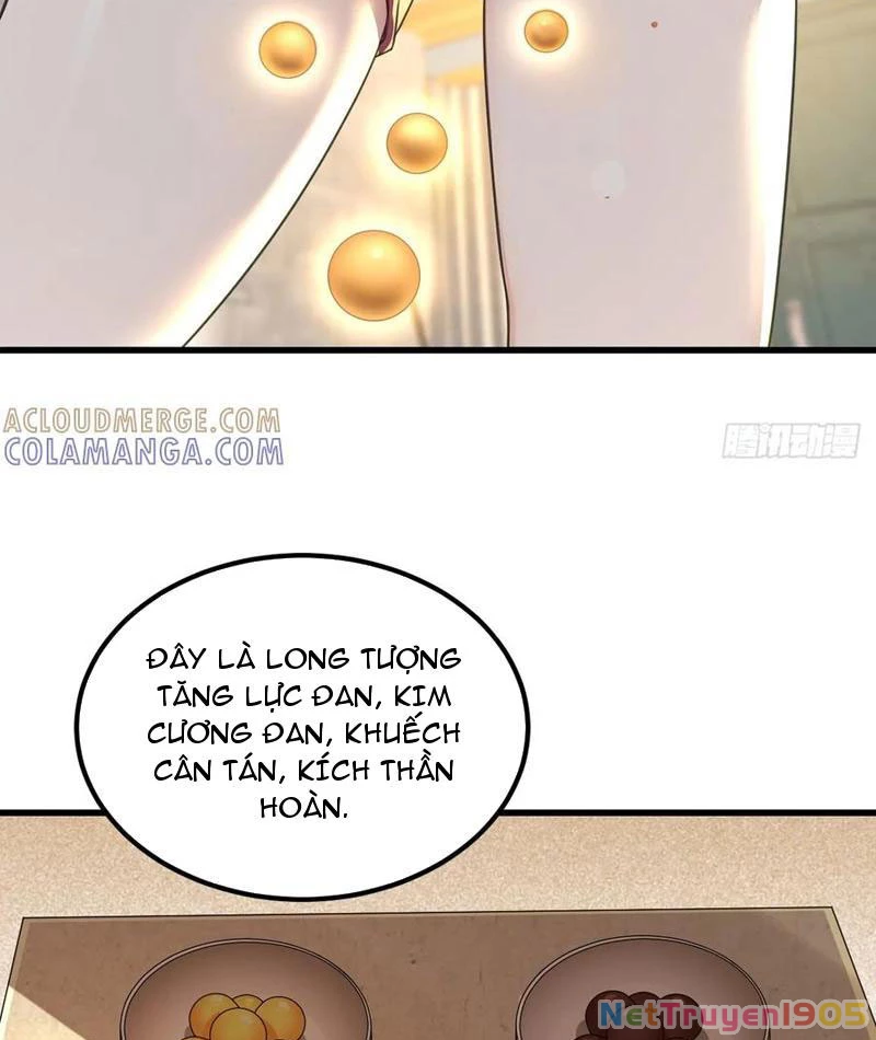 Chuyển Sinh Thành Tra Nam, Ta Giúp Thê Tử Trường Sinh Chapter 35 - 48