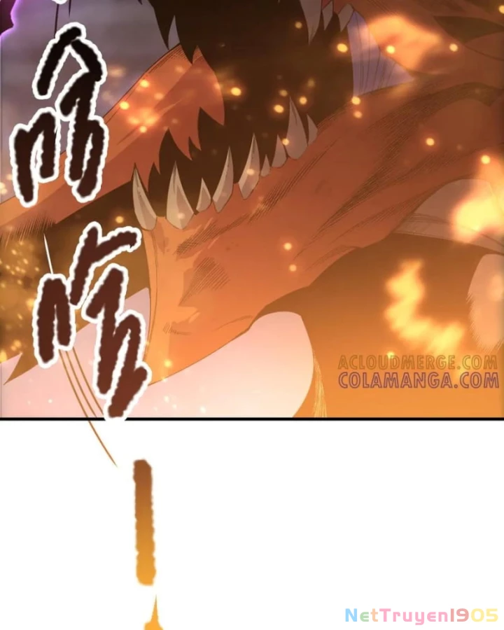 Thảm Họa Tử Linh Sư Chapter 206 - 30