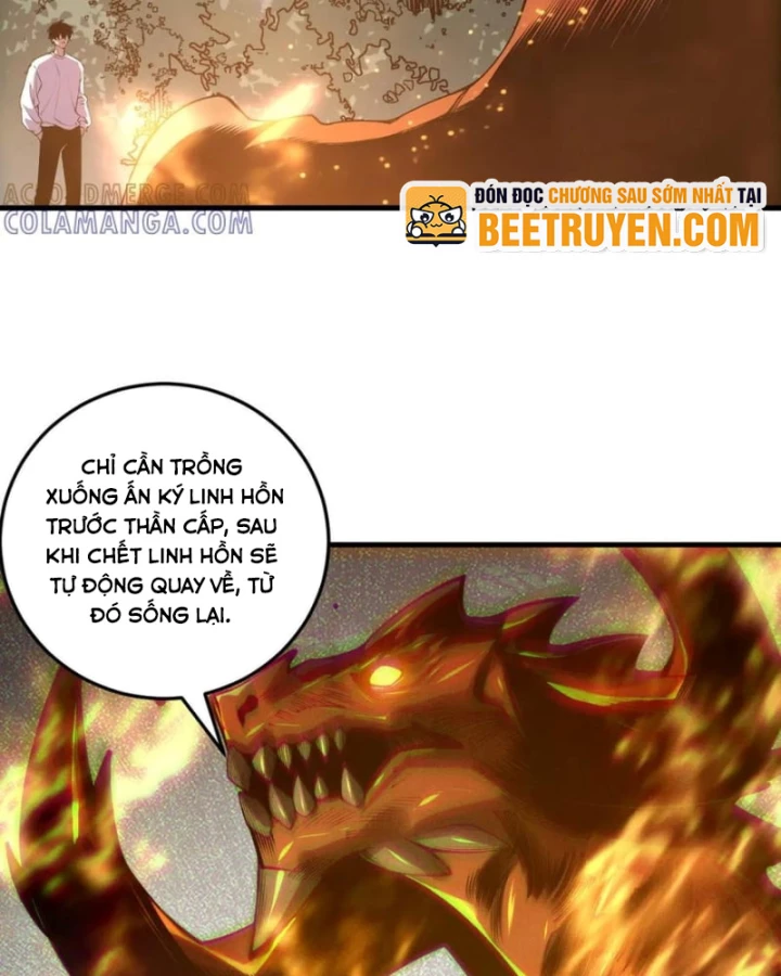 Thảm Họa Tử Linh Sư Chapter 206 - 36