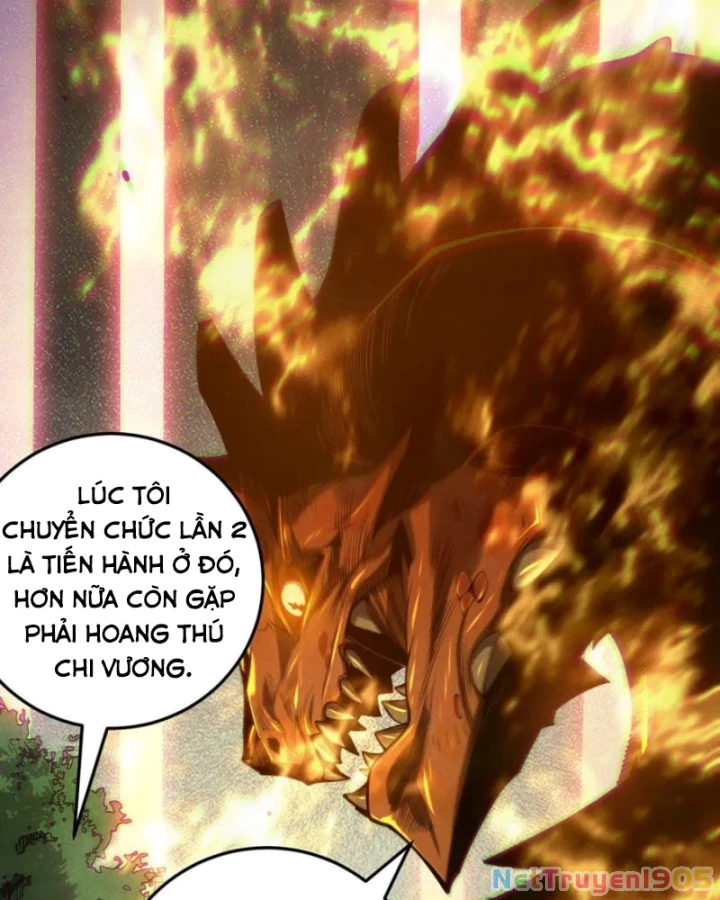 Thảm Họa Tử Linh Sư Chapter 206 - 43