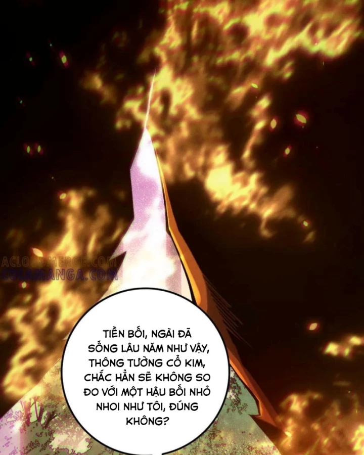 Thảm Họa Tử Linh Sư Chapter 206 - 62