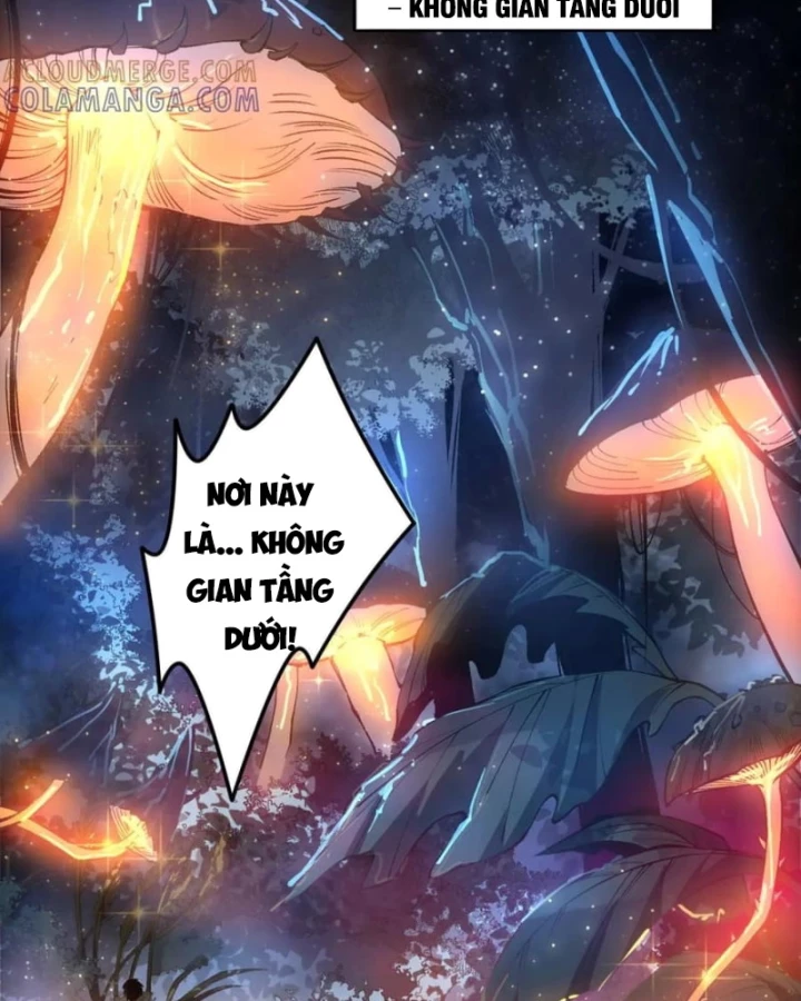 Thảm Họa Tử Linh Sư Chapter 206 - 88