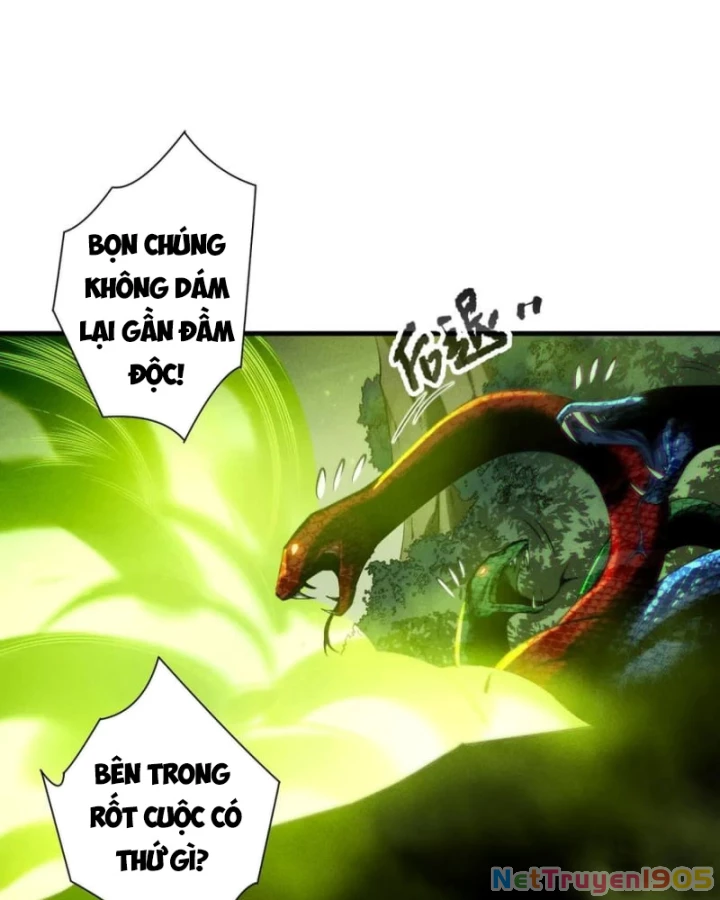Thảm Họa Tử Linh Sư Chapter 208 - 78