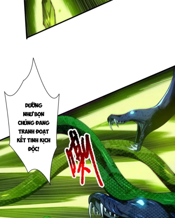 Thảm Họa Tử Linh Sư Chapter 209 - 17