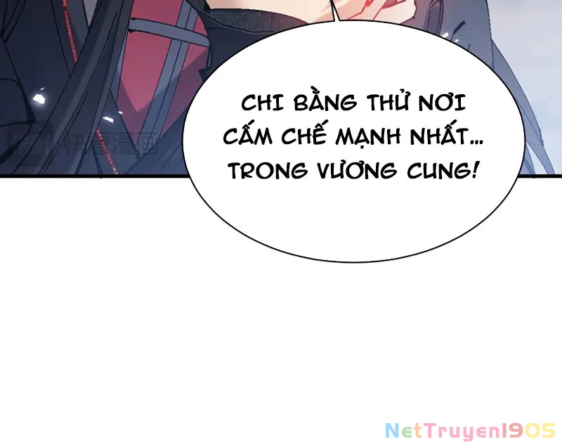 Sư Tôn: Nghịch Đồ Này Mới Không Phải Là Thánh Tử Chapter 146 - 41