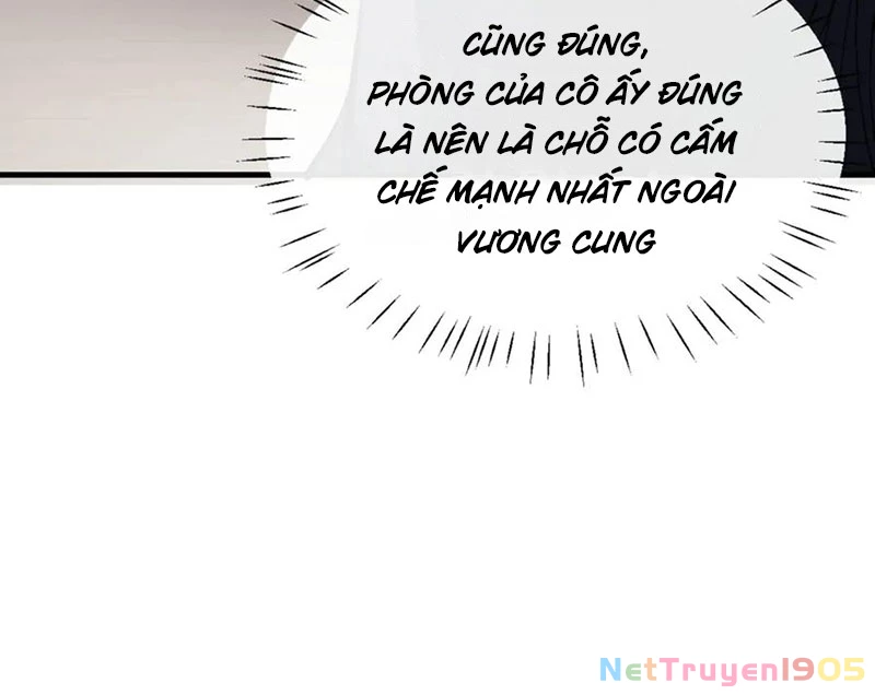 Sư Tôn: Nghịch Đồ Này Mới Không Phải Là Thánh Tử Chapter 146 - 50