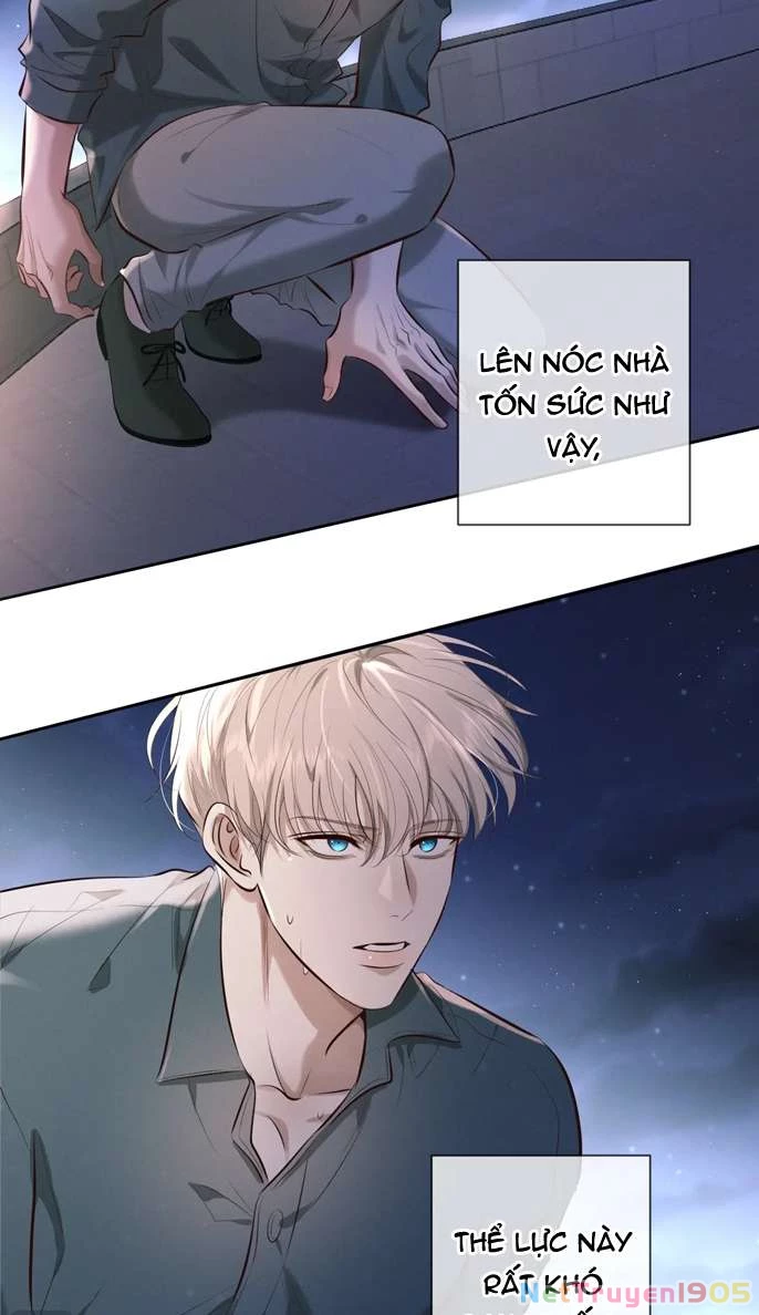 Đêm Tình Yêu Và Sát Ý Chapter 8 - 5