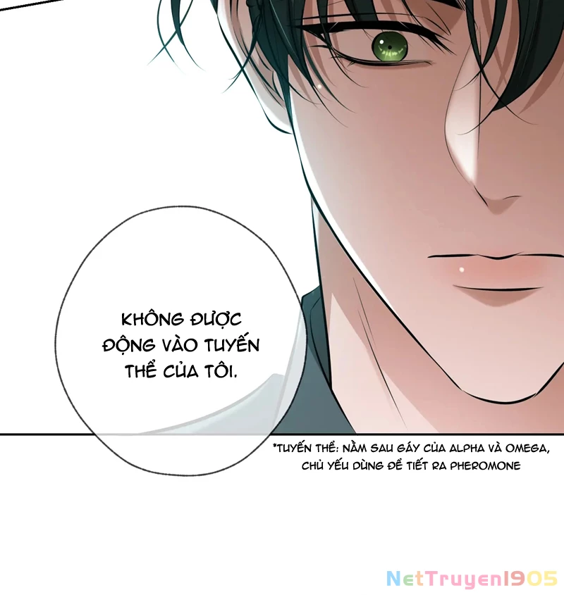 Đêm Tình Yêu Và Sát Ý Chapter 10 - 21