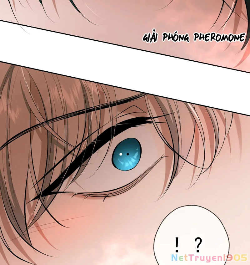 Đêm Tình Yêu Và Sát Ý Chapter 10 - 43