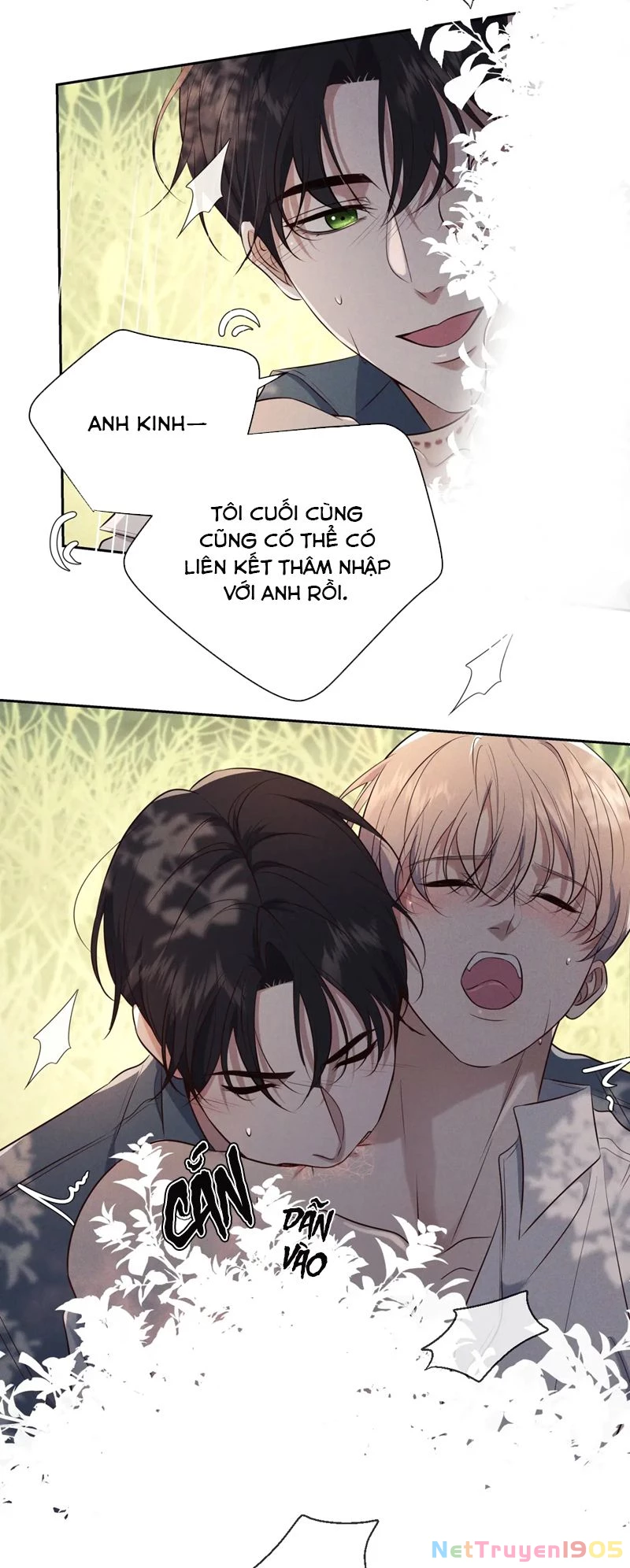 Đêm Tình Yêu Và Sát Ý Chapter 17 - 42