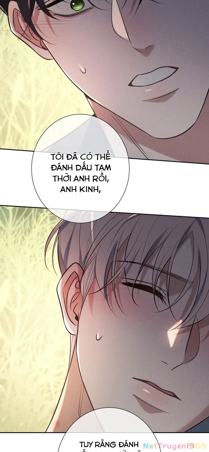 Đêm Tình Yêu Và Sát Ý Chapter 17 - 48
