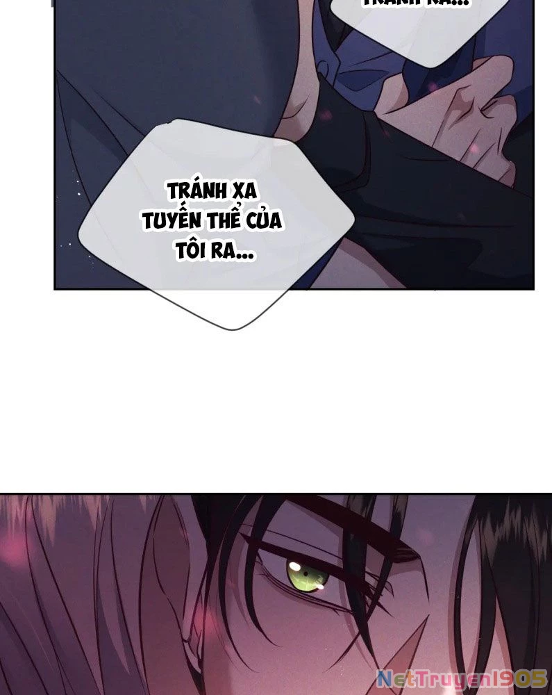 Đêm Tình Yêu Và Sát Ý Chapter 19 - 53