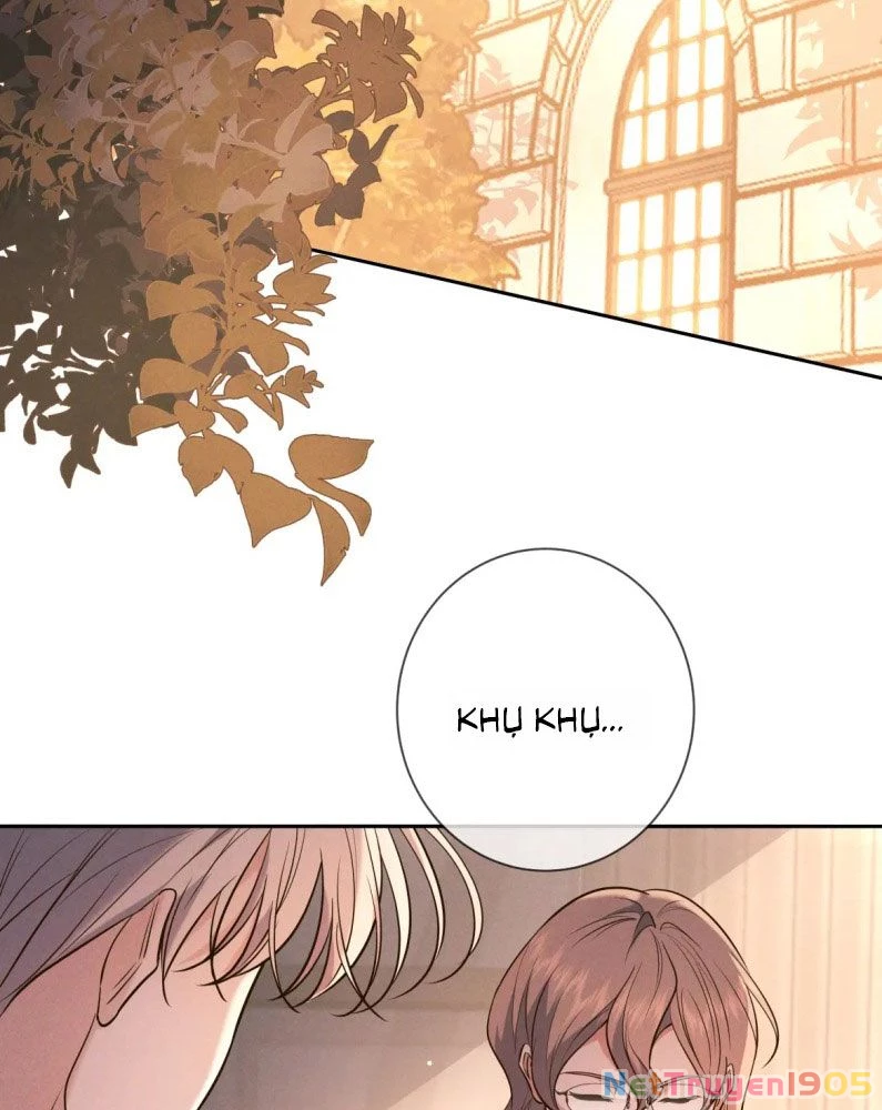 Đêm Tình Yêu Và Sát Ý Chapter 25 - 17