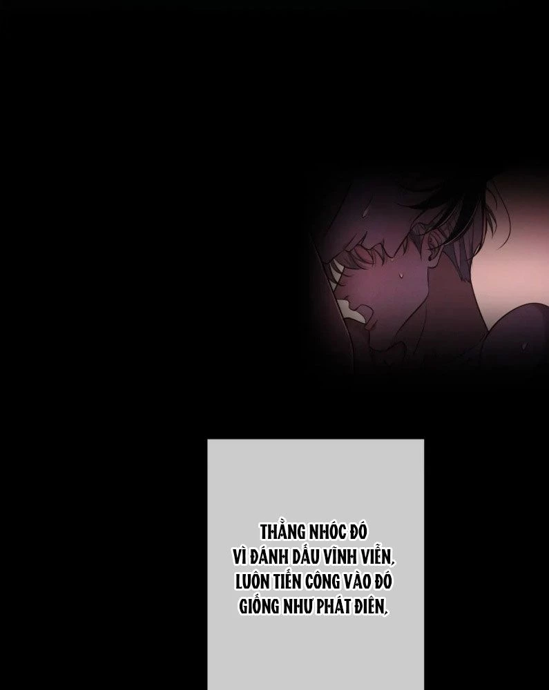 Đêm Tình Yêu Và Sát Ý Chapter 25 - 61