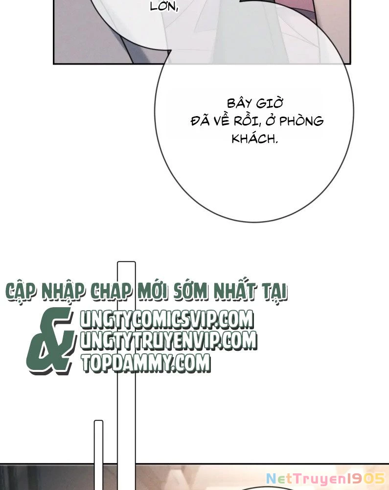 Đêm Tình Yêu Và Sát Ý Chapter 25 - 67