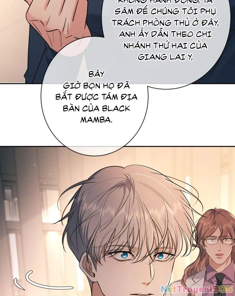 Đêm Tình Yêu Và Sát Ý Chapter 25 - 71