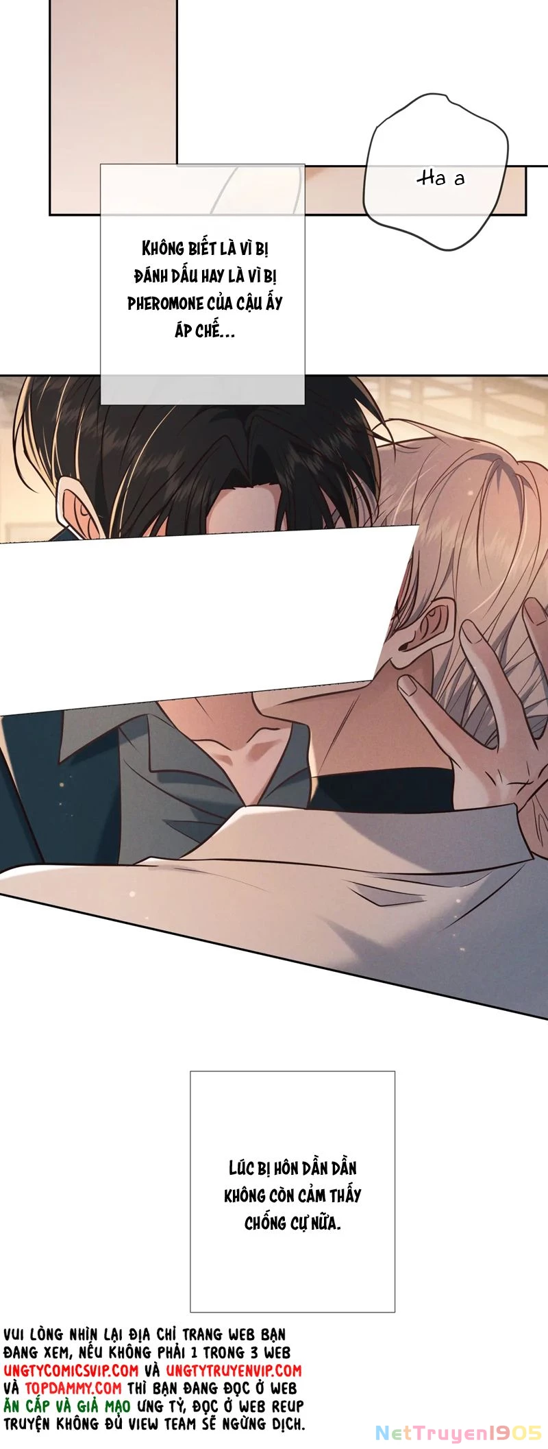 Đêm Tình Yêu Và Sát Ý Chapter 27 - 48