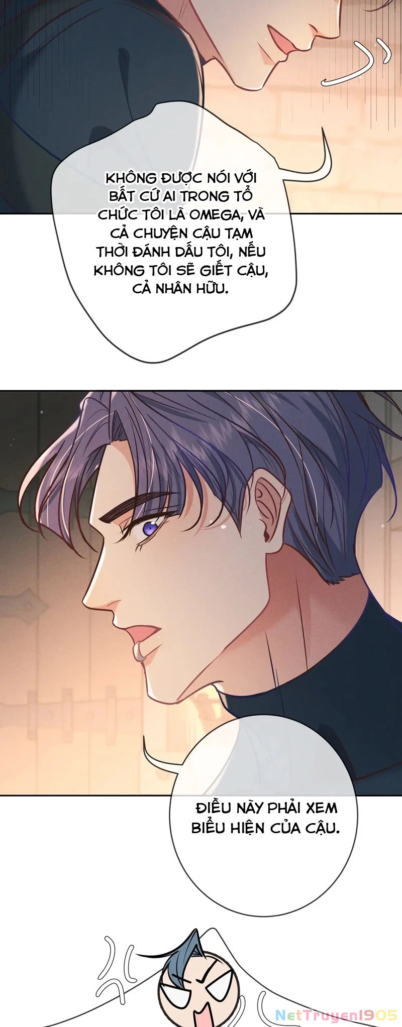 Đêm Tình Yêu Và Sát Ý Chapter 30 - 46