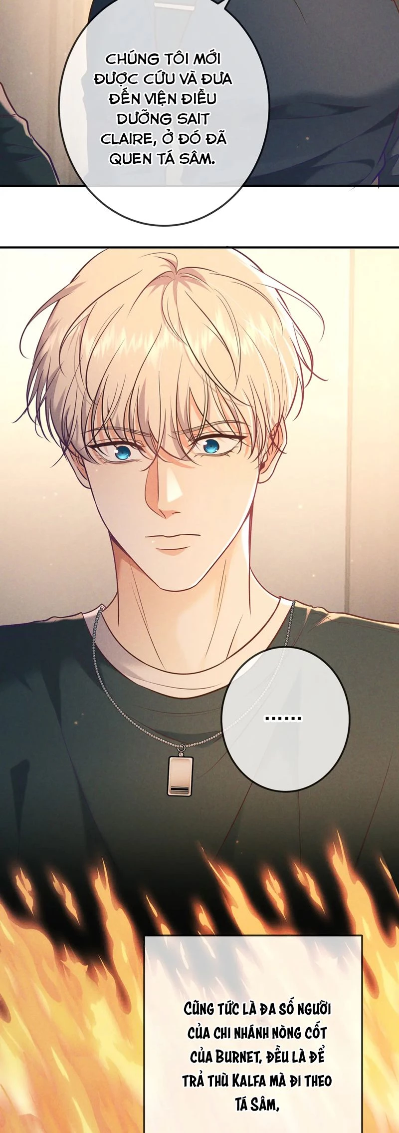 Đêm Tình Yêu Và Sát Ý Chapter 33 - 15