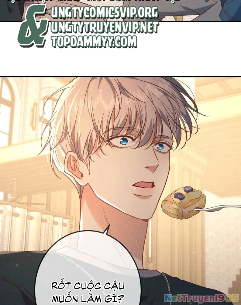 Đêm Tình Yêu Và Sát Ý Chapter 36 - 73