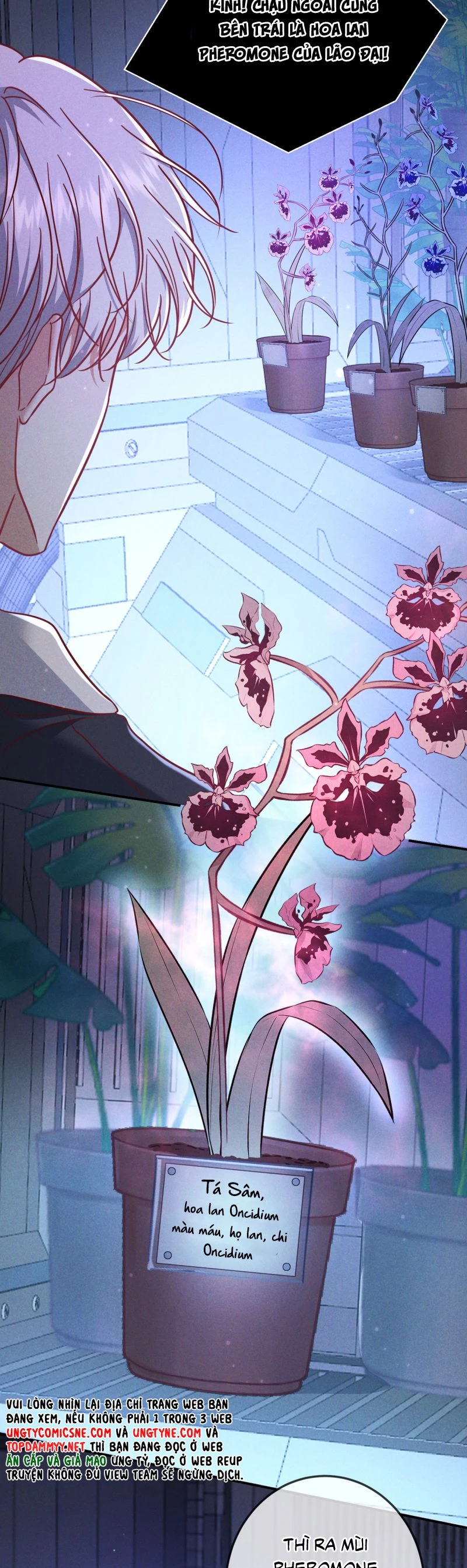 Đêm Tình Yêu Và Sát Ý Chapter 55 - 9