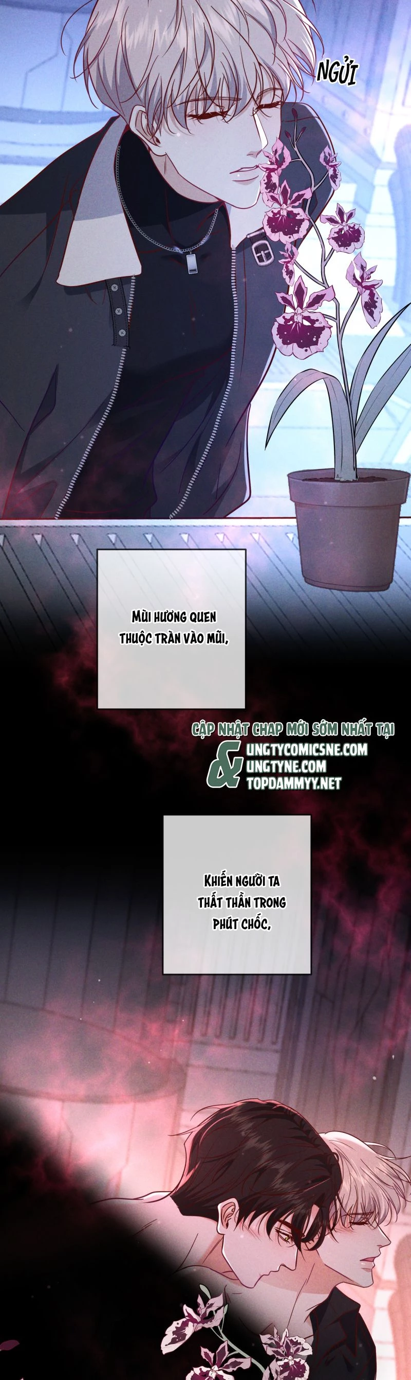 Đêm Tình Yêu Và Sát Ý Chapter 55 - 11