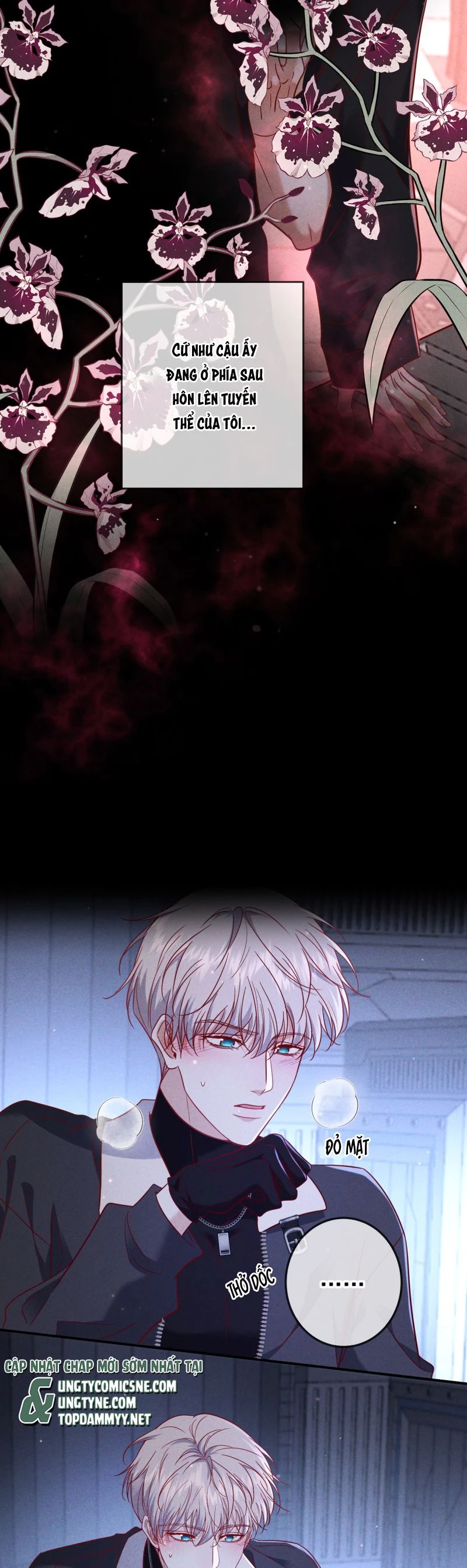 Đêm Tình Yêu Và Sát Ý Chapter 55 - 12