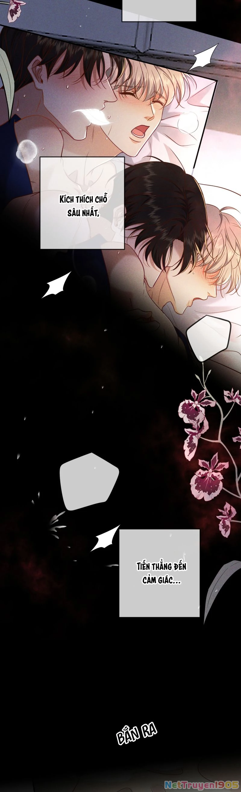 Đêm Tình Yêu Và Sát Ý Chapter 56 - 13