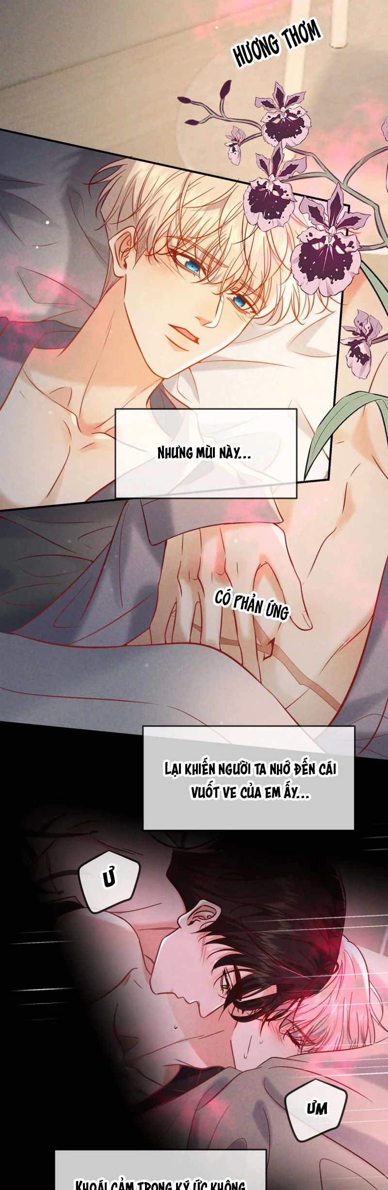 Đêm Tình Yêu Và Sát Ý Chapter 65 - 15