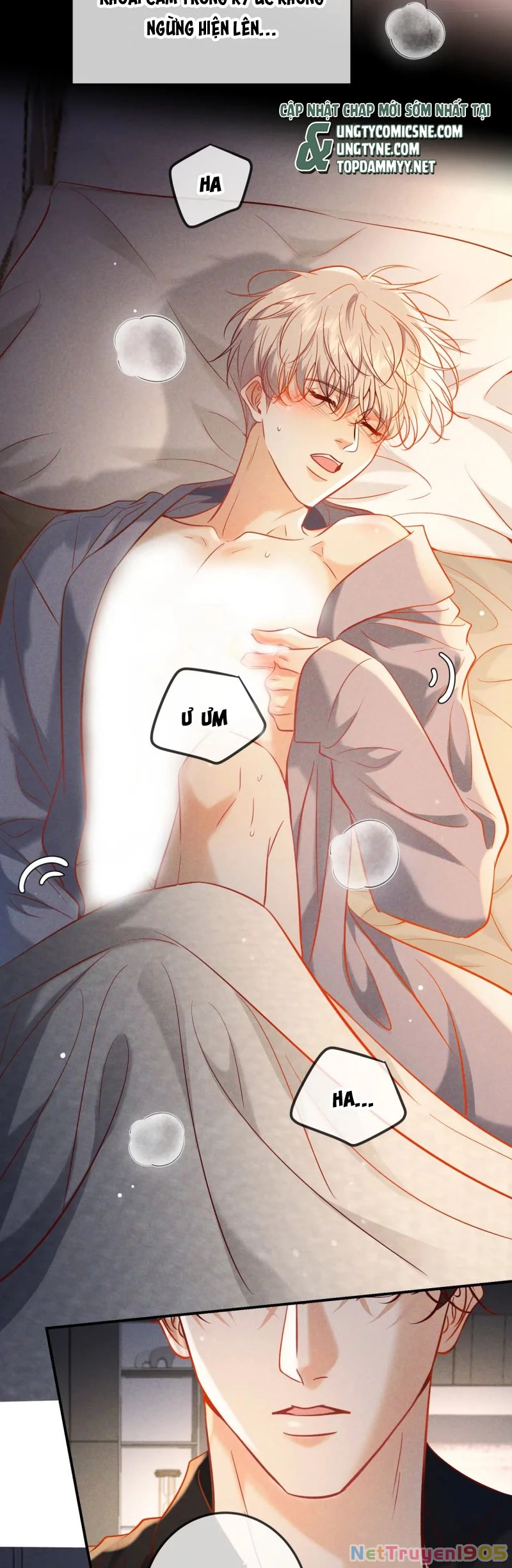 Đêm Tình Yêu Và Sát Ý Chapter 65 - 16