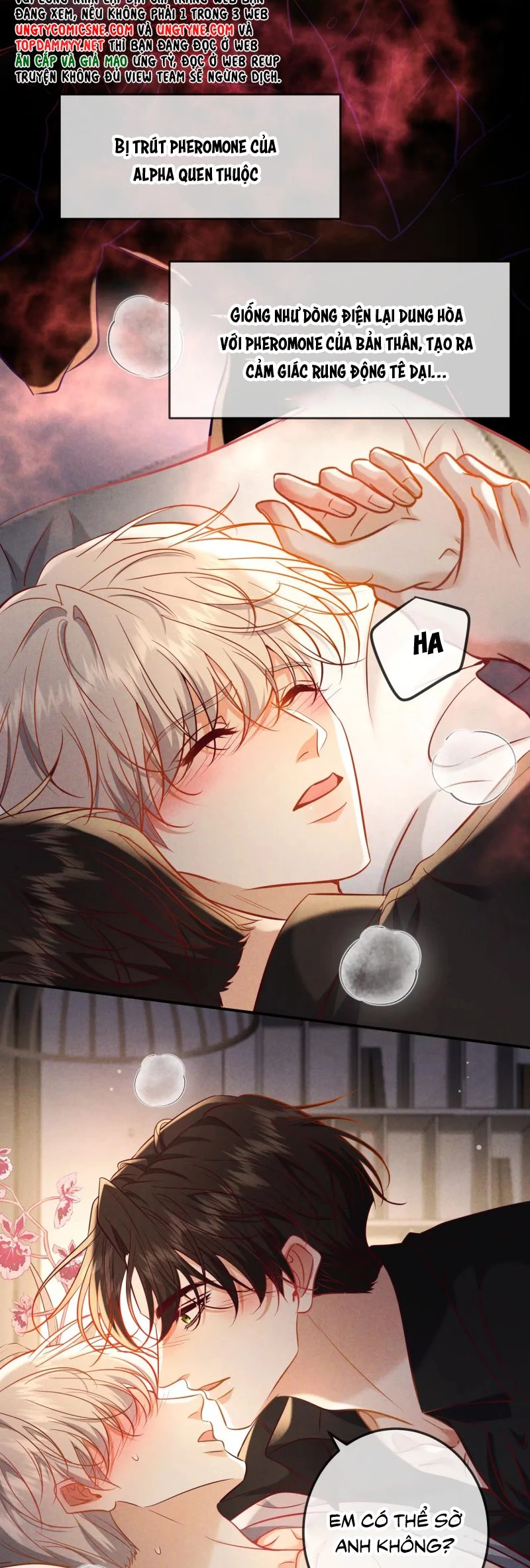 Đêm Tình Yêu Và Sát Ý Chapter 65 - 27