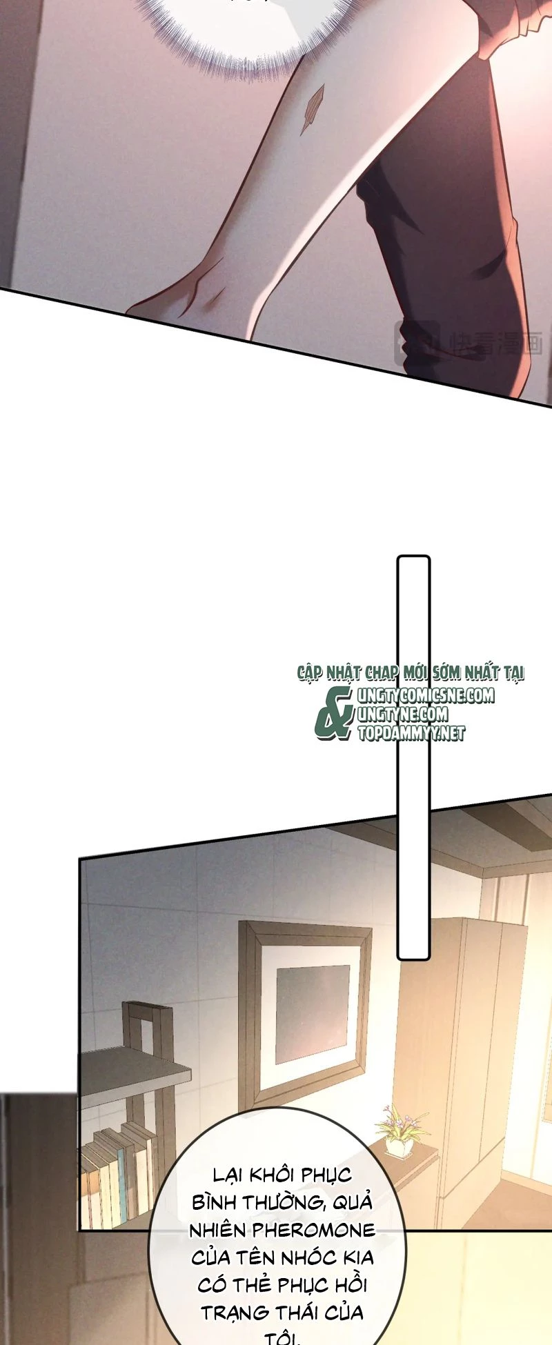 Đêm Tình Yêu Và Sát Ý Chapter 77 - 14