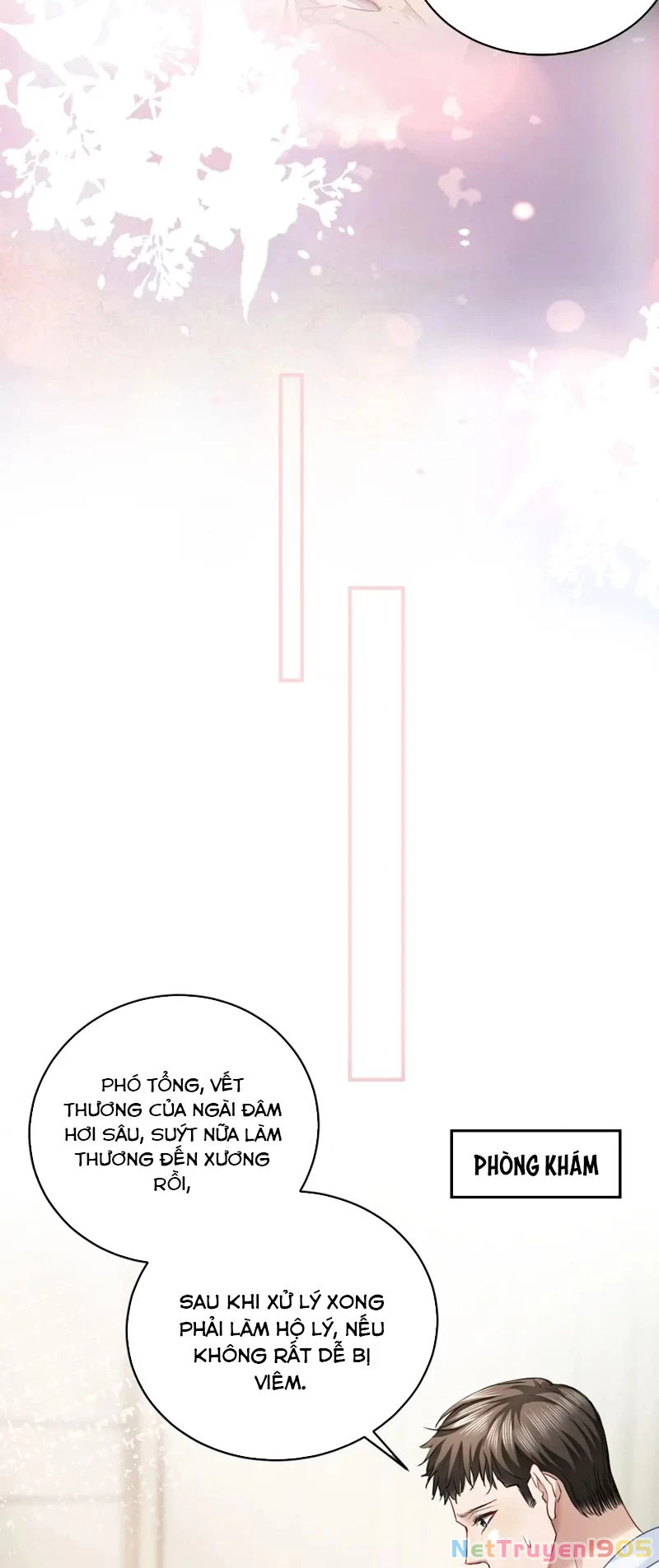 Tiểu Thiếu Gia Dựa Vào Mỹ Mạo Hoành Hành Toàn Hệ Thống Chapter 19 - 13