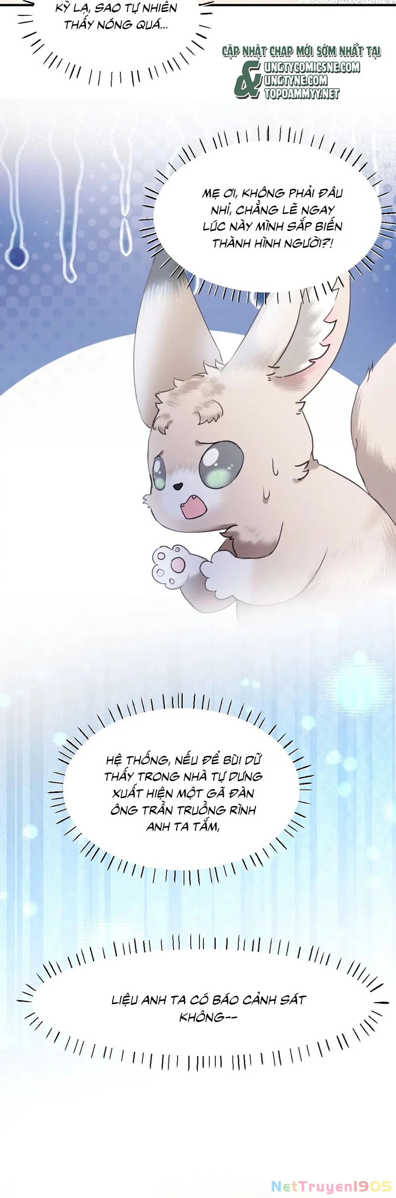 Tiểu Thiếu Gia Dựa Vào Mỹ Mạo Hoành Hành Toàn Hệ Thống Chapter 58 - 24