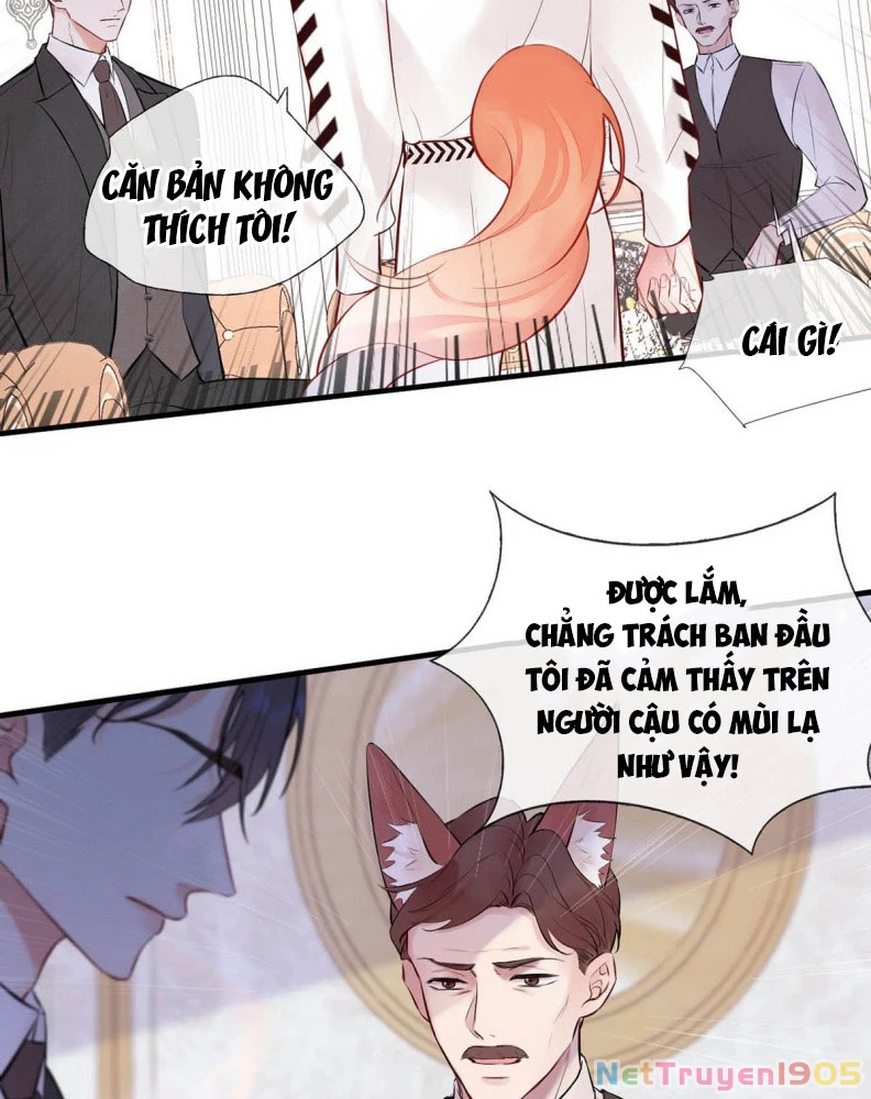 Công Lược Đối Tượng! Hình Tượng Của Cậu Sập Rồi! Chapter 11 - 21