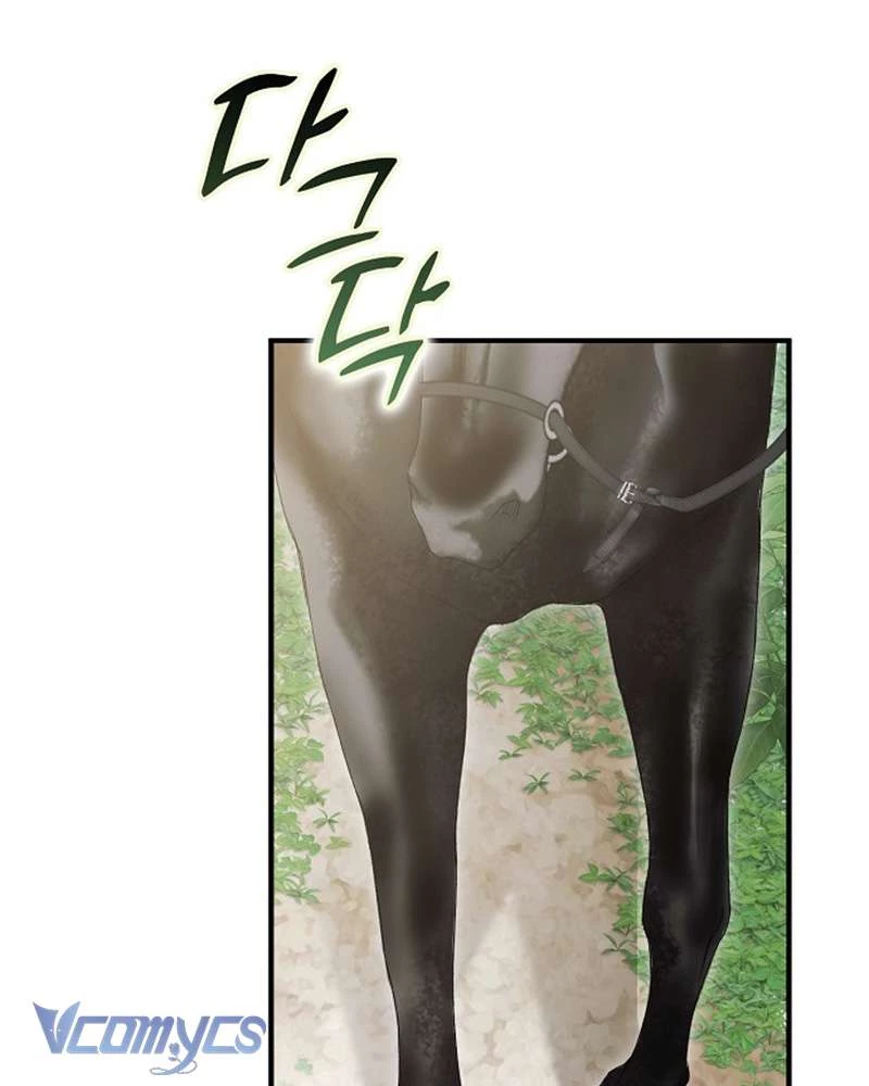 Các Nam Chính Đã Bị Nữ Phụ Cướp Mất Chapter 59 - 102
