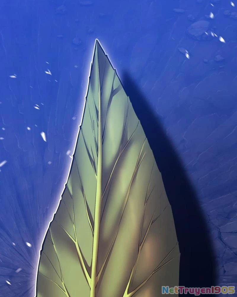 Gậy Gỗ Cấp 99+ Chapter 159 - 51