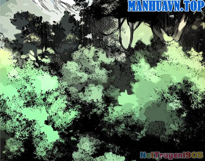 Cấm Chú Sư Mạnh Nhất Lịch Sử Chapter 24 - 24