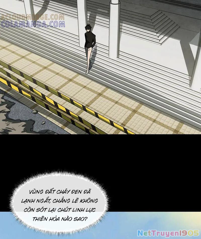 Sau Khi Chia Tay Hoa Khôi, Võ Đạo Của Ta Thẳng Tới Cấp Thần Chapter 18 - 52