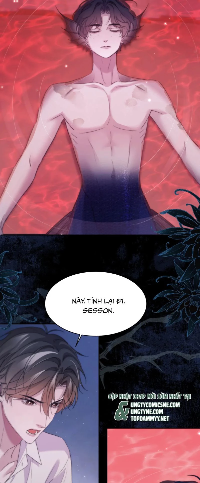 Desharow Nhân Ngư Chapter 110 - 27