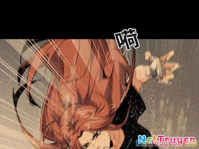 Mạt Thế Cẩu Sinh: Gián Giúp Ta Chồng Buff Chapter 69 - 16