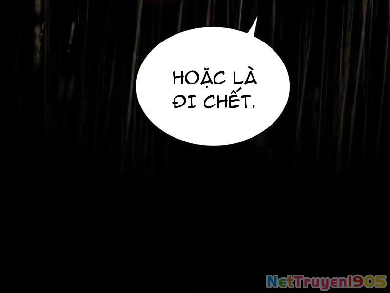 Mạt Thế Cẩu Sinh: Gián Giúp Ta Chồng Buff Chapter 69 - 78