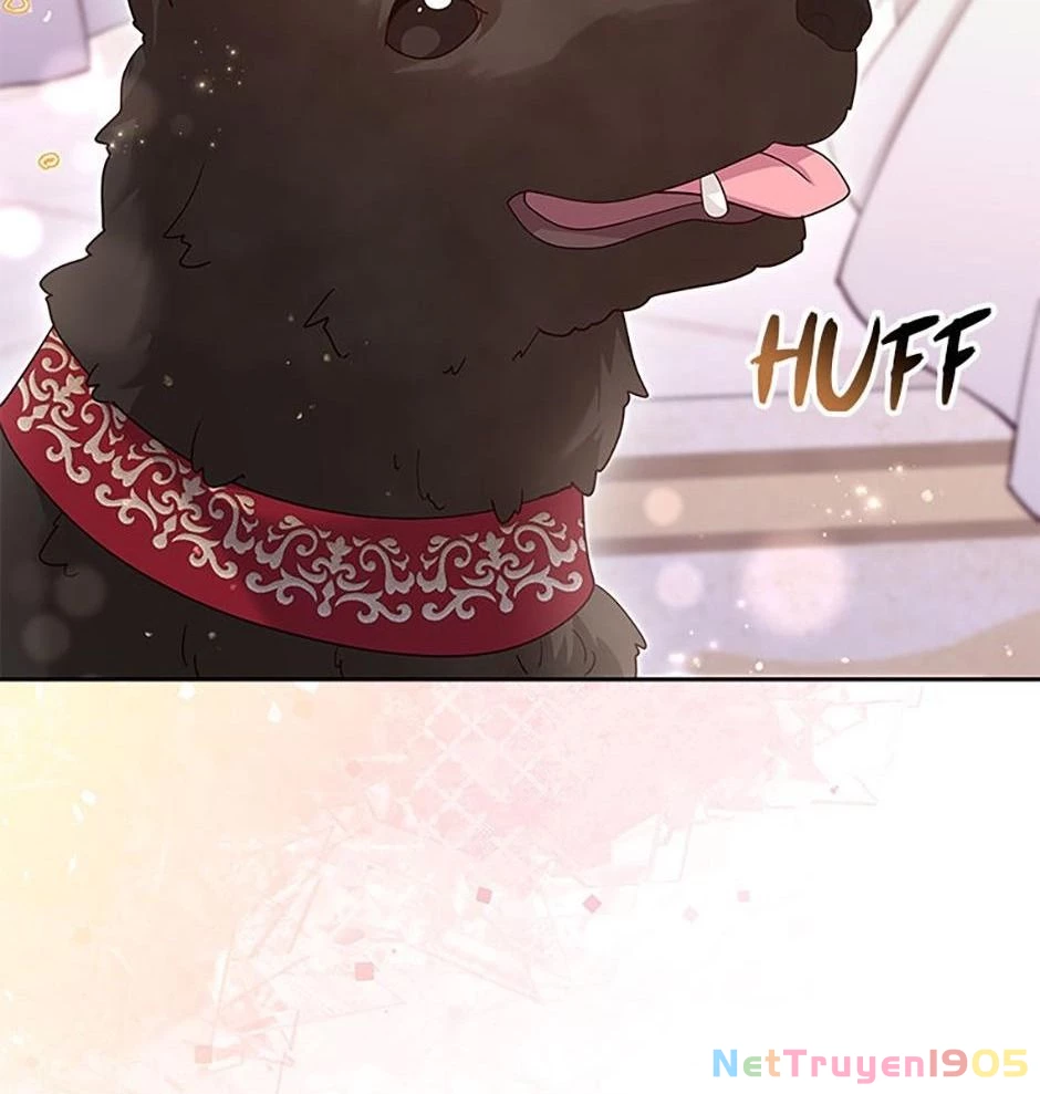 Cuộc Sống Của Nữ Vương Ác Quỷ Chapter 61 - 79