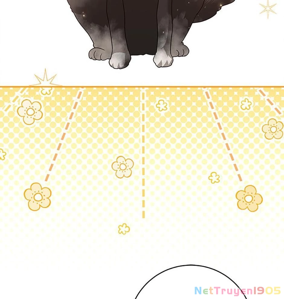 Cuộc Sống Của Nữ Vương Ác Quỷ Chapter 61 - 104