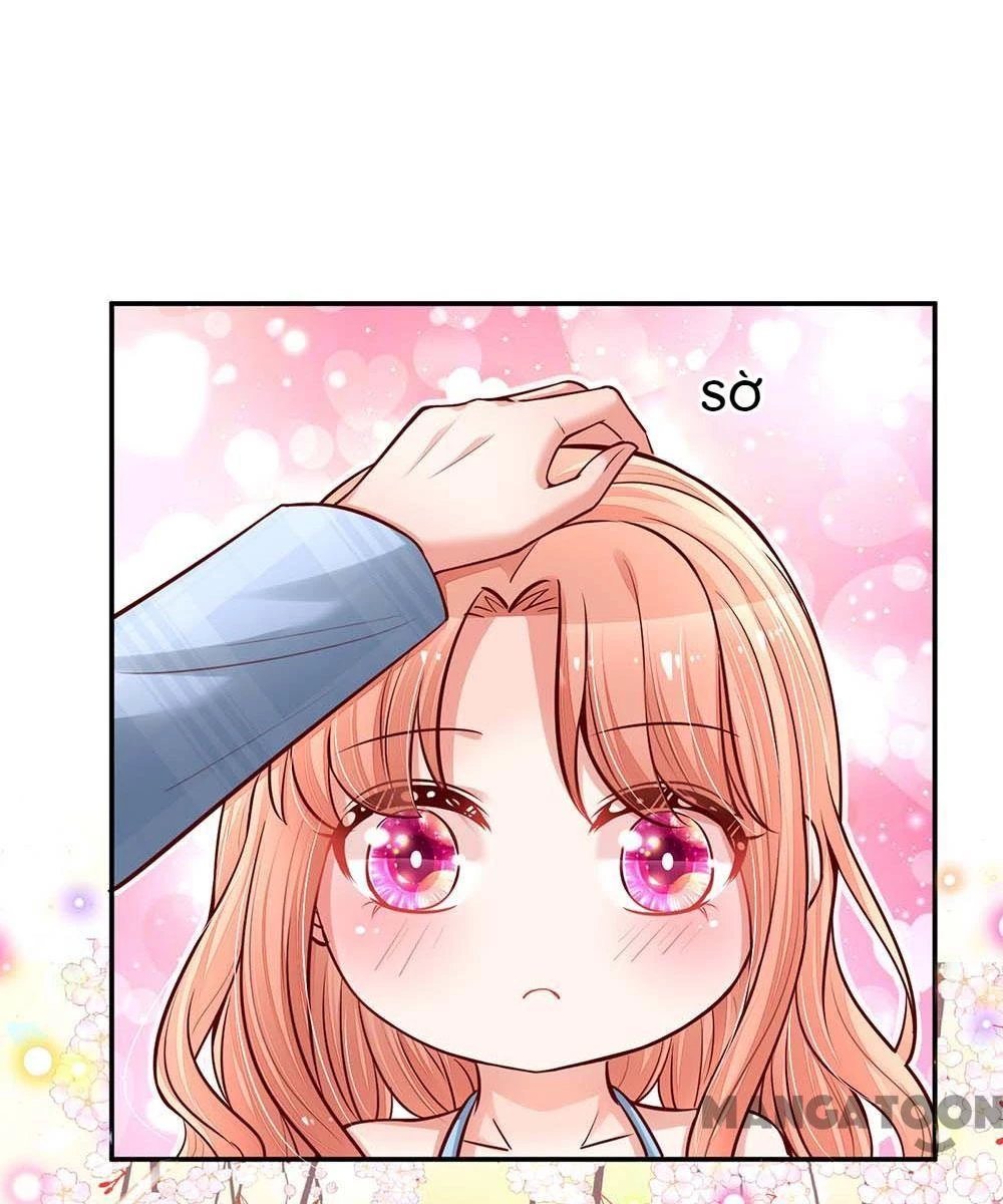 Mami Mau Chạy - Daddy Đuổi Tới Rồi Chapter 117 - 10