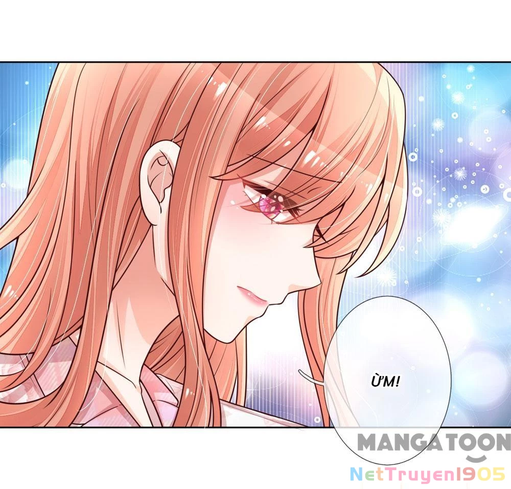 Mami Mau Chạy - Daddy Đuổi Tới Rồi Chapter 122 - 25