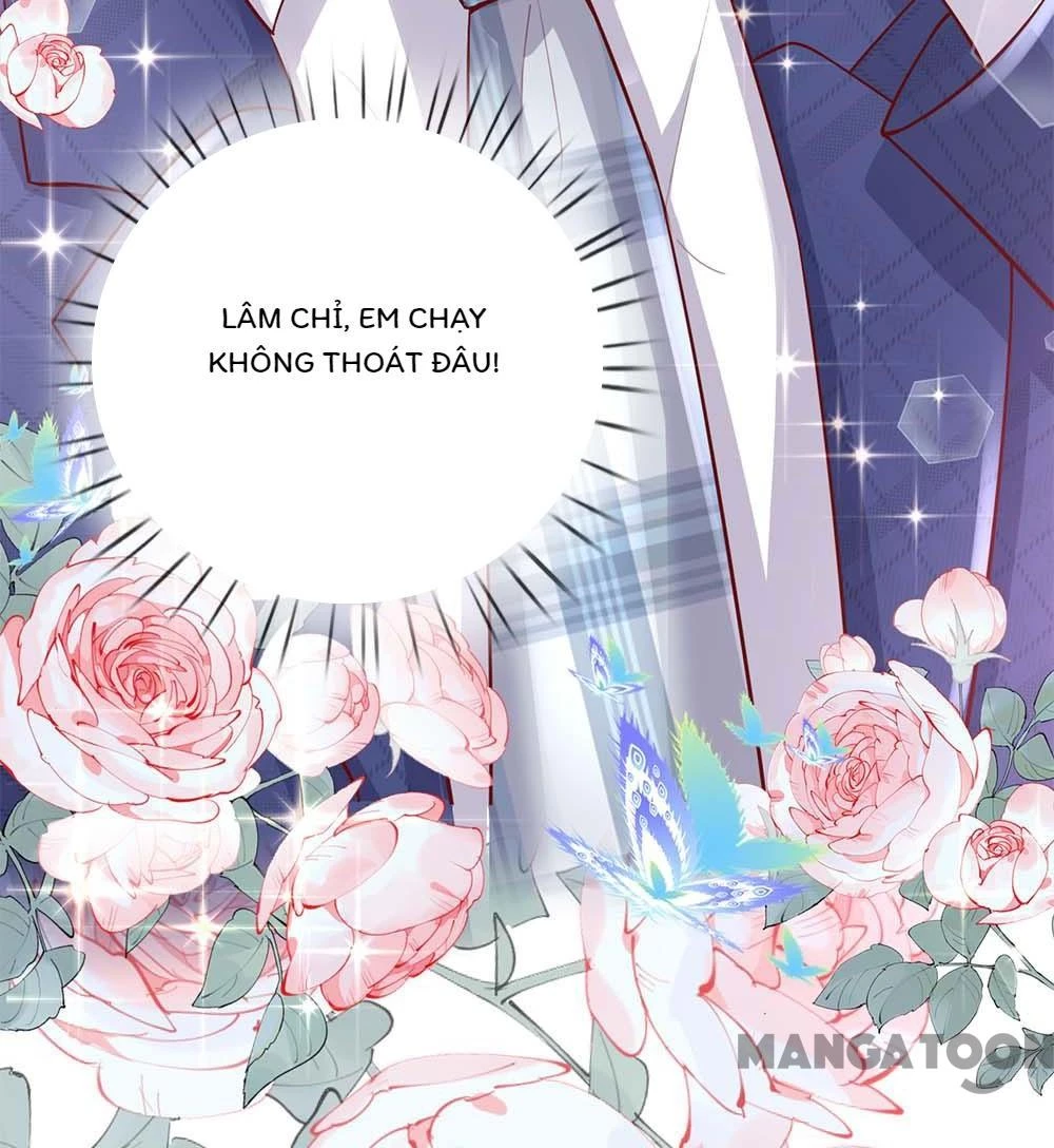 Mami Mau Chạy - Daddy Đuổi Tới Rồi Chapter 135 - 22
