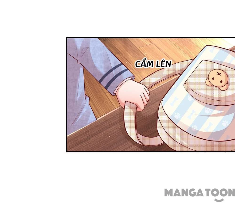 Mami Mau Chạy - Daddy Đuổi Tới Rồi Chapter 137 - 35