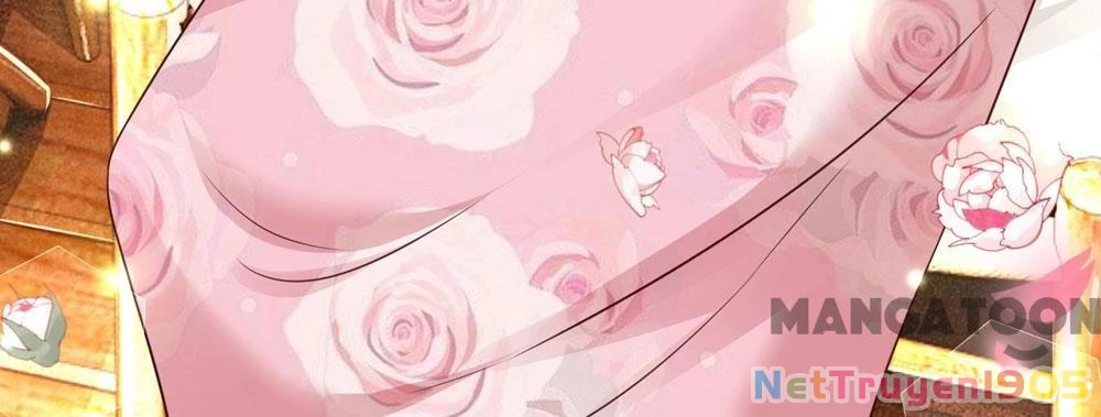 Mami Mau Chạy - Daddy Đuổi Tới Rồi Chapter 145 - 5