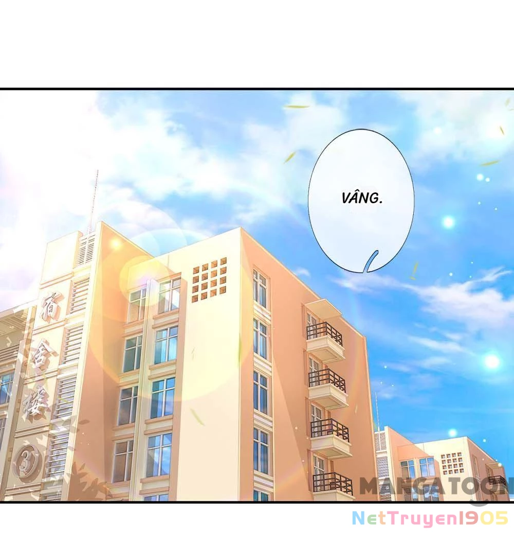 Mami Mau Chạy - Daddy Đuổi Tới Rồi Chapter 152 - 17